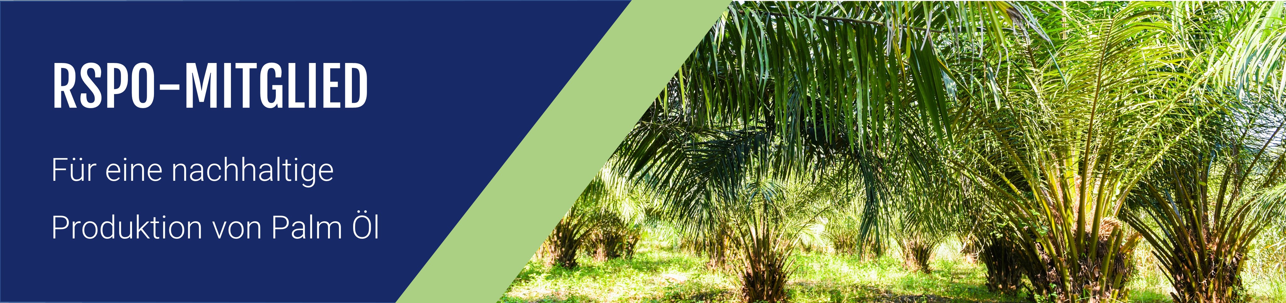 LEVACO neues Mitglied des RSPO für die Verwendung von nachhaltigem Palmöl.