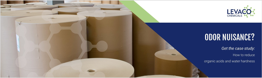 Case study packaging paper/paper mill